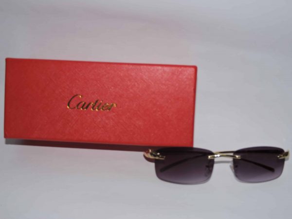 Gafas Cartier 3 piezas Pantera