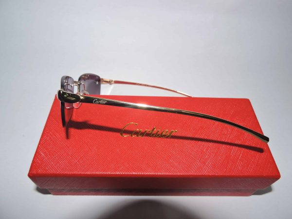 Gafas Cartier 3 piezas Pantera